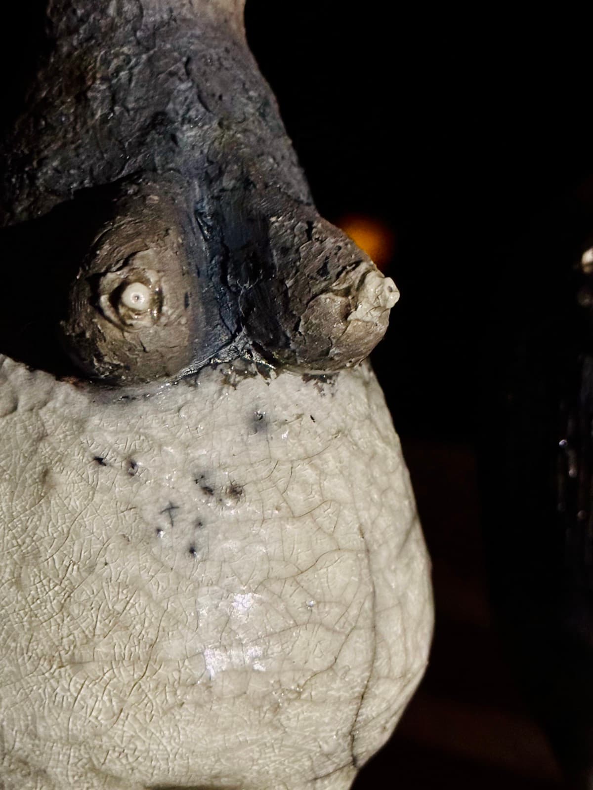 LoVe goes Raku — sfeerbeeld